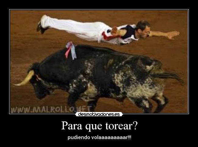 carteles volar desmotivaciones