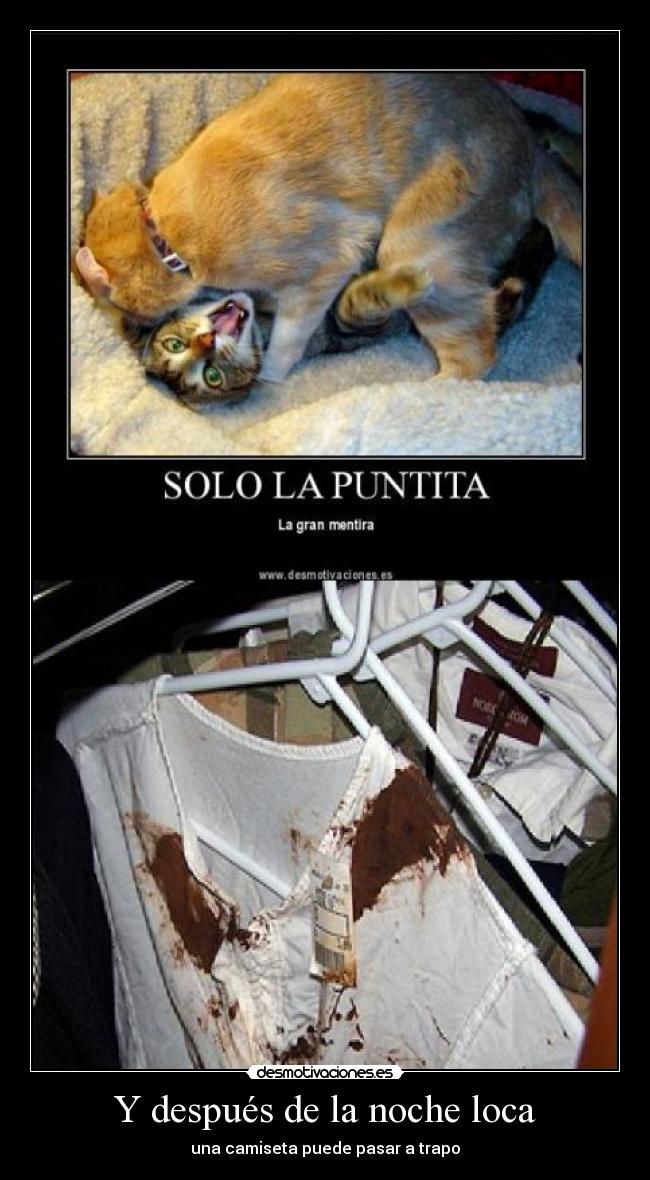 Y después de la noche loca - una camiseta puede pasar a trapo