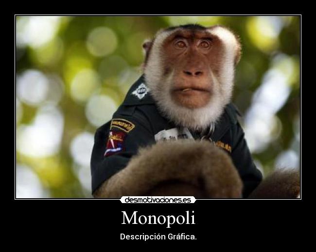 Monopoli - Descripción Gráfica.