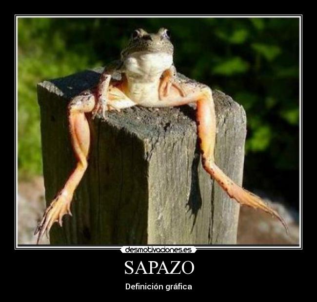 SAPAZO -