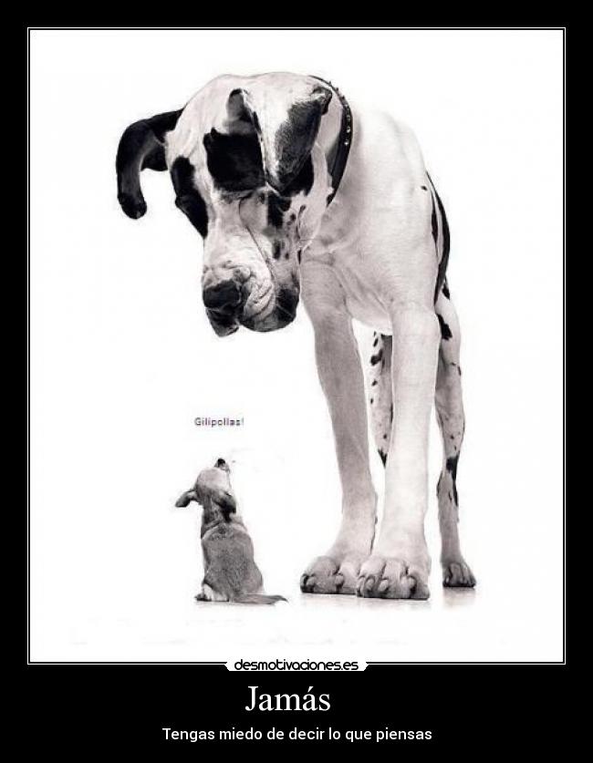 Jamás   - 