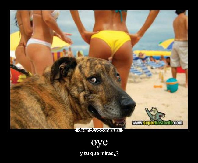 oye - y tu que miras¿?