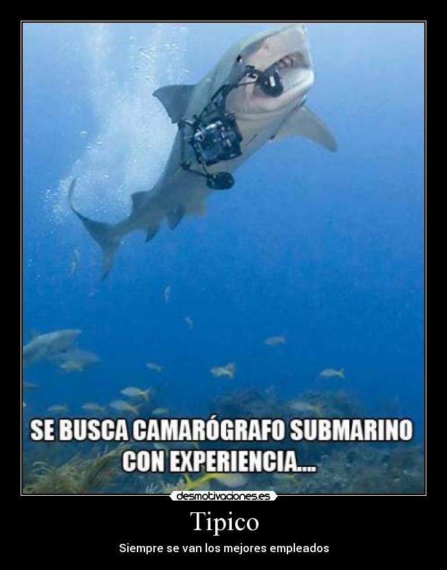 Tipico - Siempre se van los mejores empleados