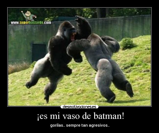 ¡es mi vaso de batman! - gorilas.. sempre tan agresivos..
