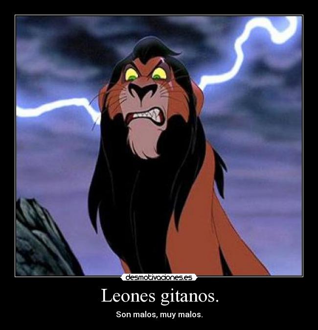 Leones gitanos. - Son malos, muy malos.
