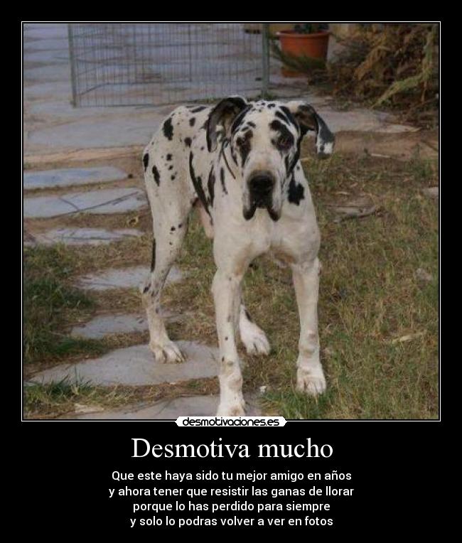 Desmotiva mucho - 