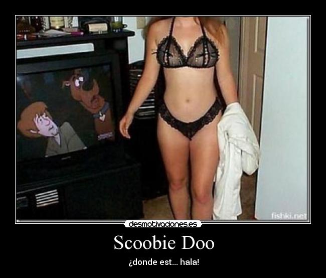 Scoobie Doo - ¿donde est... hala!