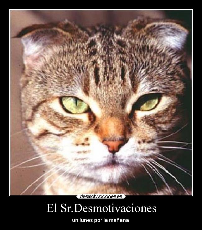 El Sr.Desmotivaciones - un lunes por la mañana