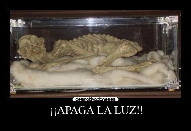¡¡APAGA LA LUZ!! - 