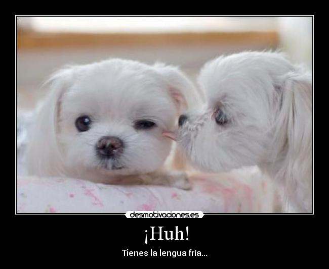 ¡Huh! - 