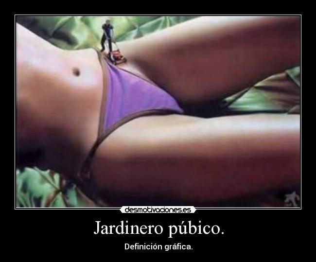 Jardinero púbico. - 