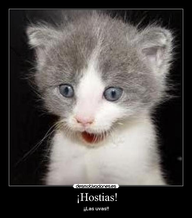 ¡Hostias! -