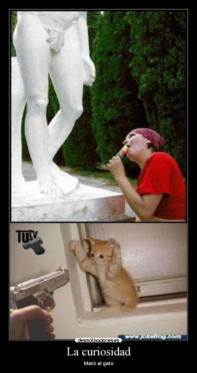 La curiosidad -