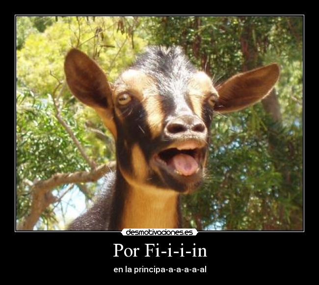Por Fi-i-i-in -