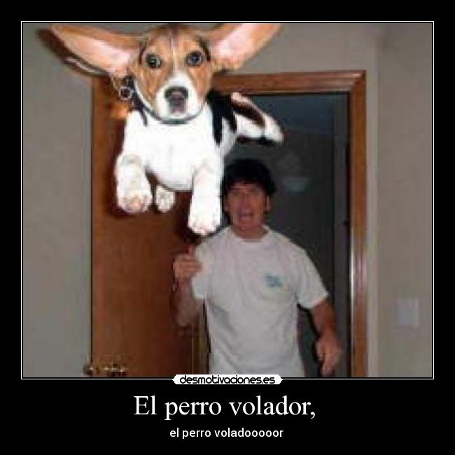 El perro volador,  - el perro voladooooor ♪