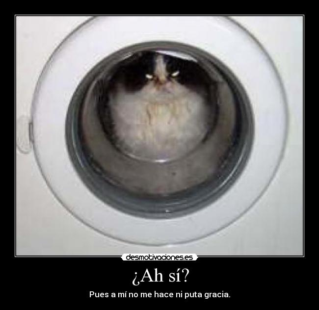 ¿Ah sí? - Pues a mí no me hace ni puta gracia.