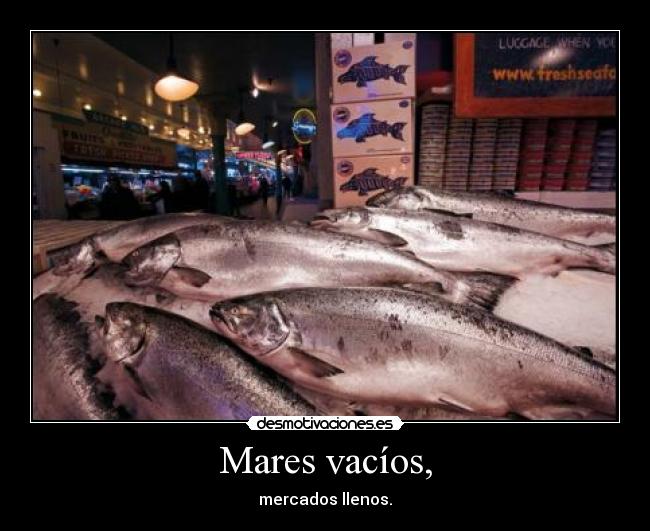 Mares vacíos, - mercados llenos.