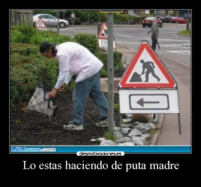 Lo estas haciendo de puta madre -