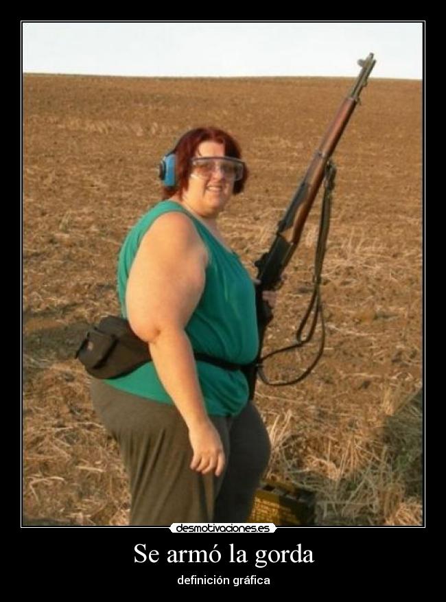 Se armó la gorda - definición gráfica