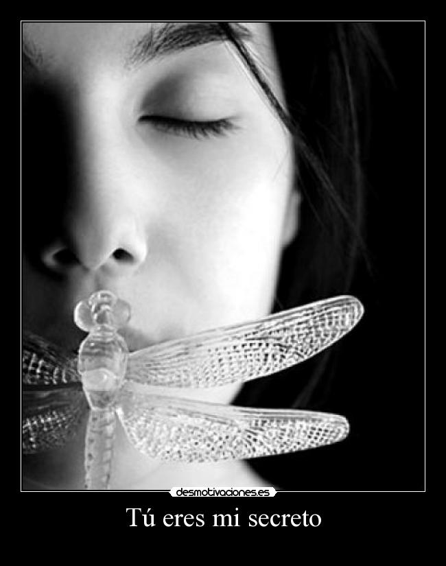 Tú eres mi secreto - 
