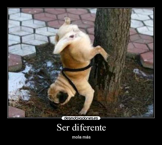 Ser diferente -