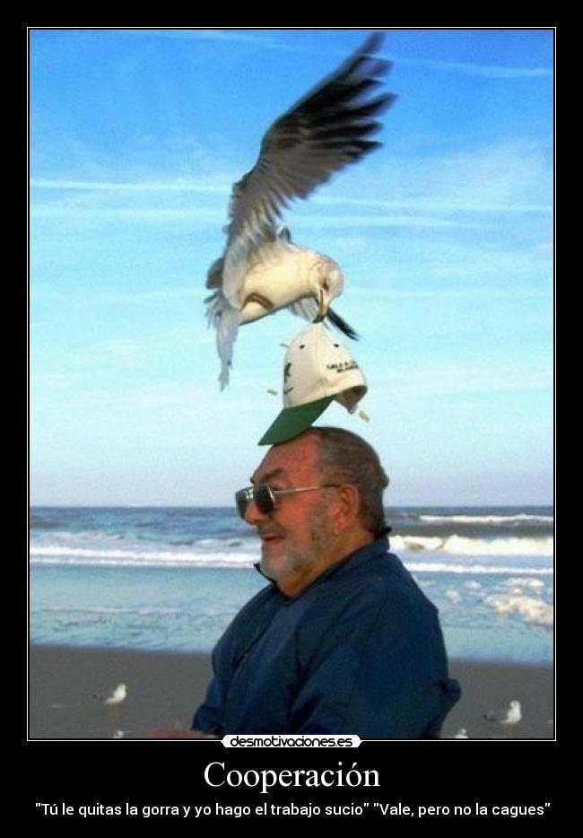 Cooperación -
