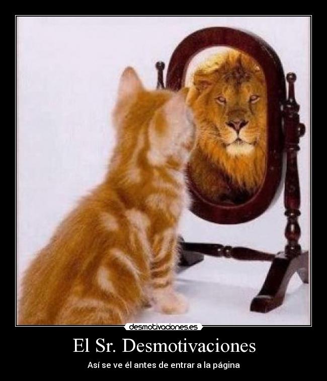 carteles desmotivaciones desmotivaciones espejo leon gato desmotivaciones