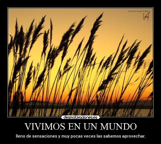 VIVIMOS EN UN MUNDO -