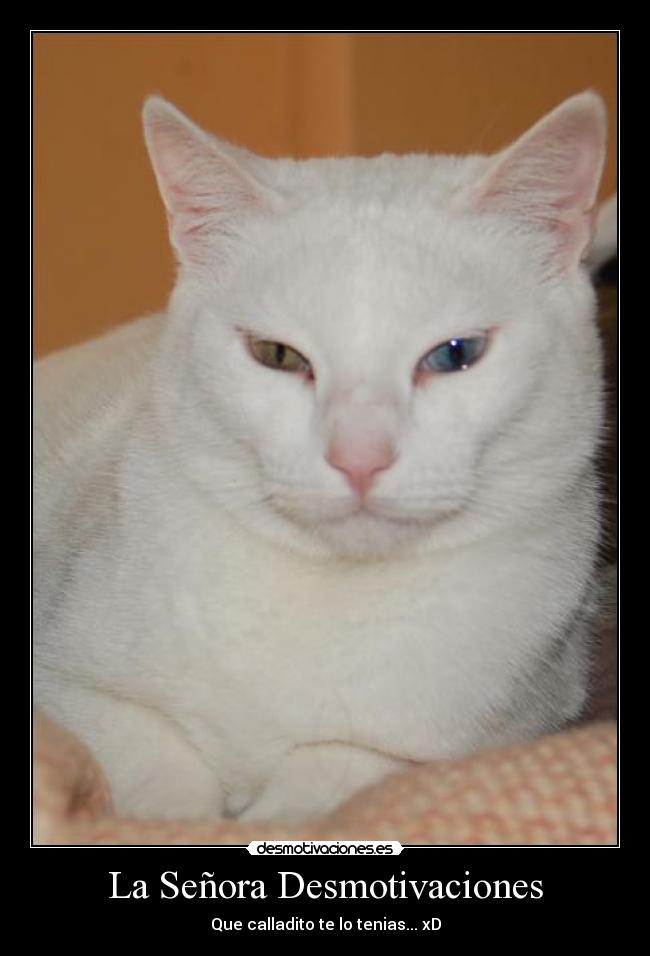 La Señora Desmotivaciones - Que calladito te lo tenias... xD