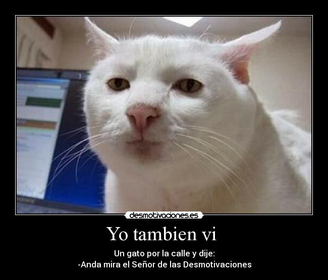 Yo tambien vi - Un gato por la calle y dije:
-Anda mira el Señor de las Desmotivaciones