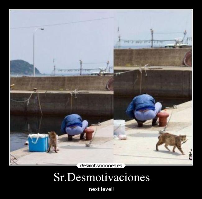 Sr.Desmotivaciones - next level!