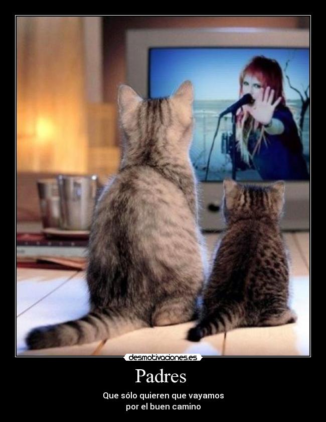 carteles padres padres paramore desmotivaciones