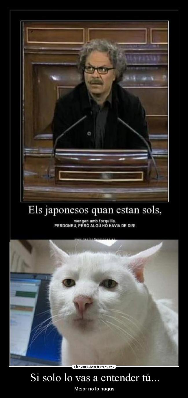 carteles gatosdesmotivaciones entender graciosillo hagas asasa97 catalan valenciano desmotivaciones