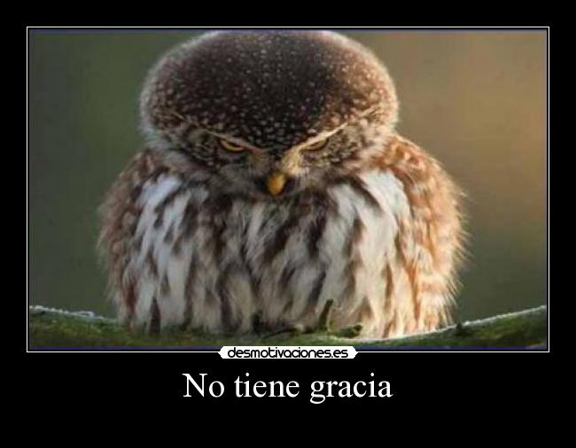 No tiene gracia - 