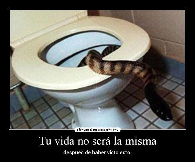 Tu vida no será la misma - 