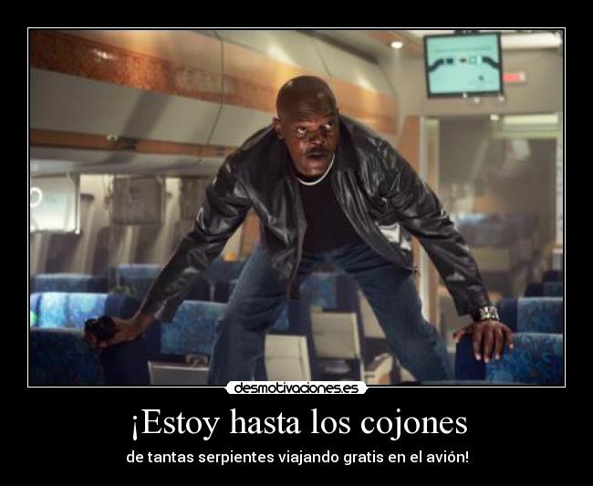 ¡Estoy hasta los cojones - de tantas serpientes viajando gratis en el avión!