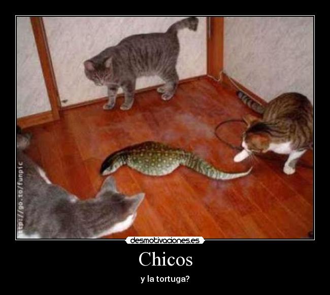 Chicos -