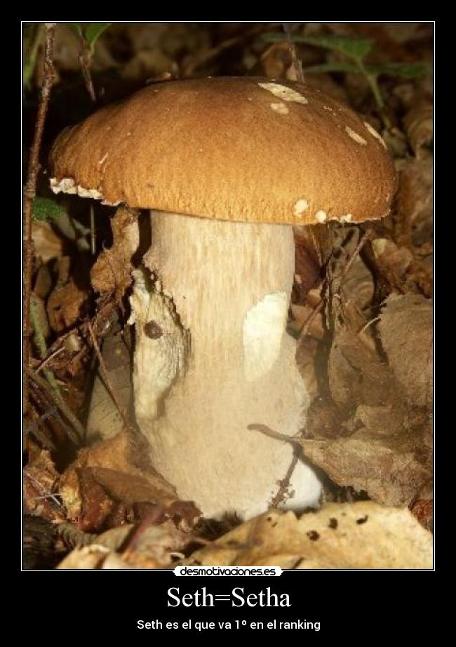 Seth=Setha - 