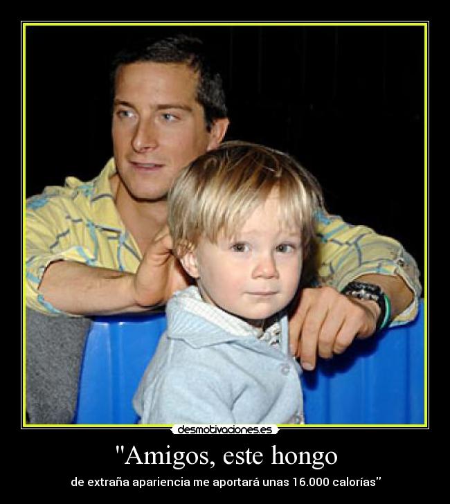 carteles amigos pedogrylls desmotivaciones