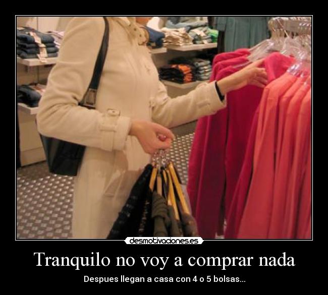 Tranquilo no voy a comprar nada - Despues llegan a casa con 4 o 5 bolsas...