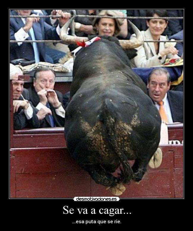 Se va a cagar... - ...esa puta que se rie.