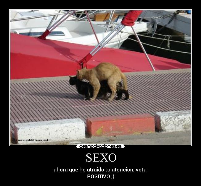 SEXO - ahora que he atraido tu atención, vota
POSITIVO ;)