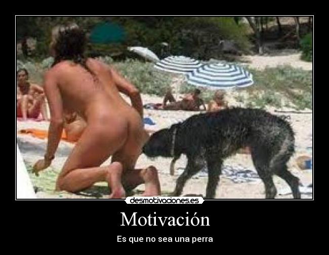 Motivación - 