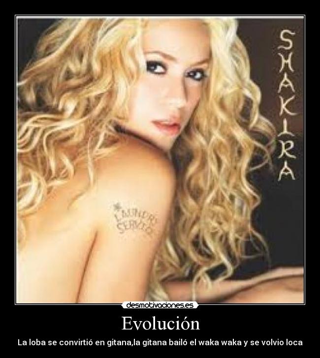 Evolución - 