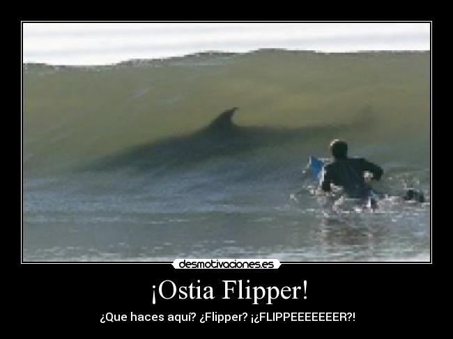 ¡Ostia Flipper! -