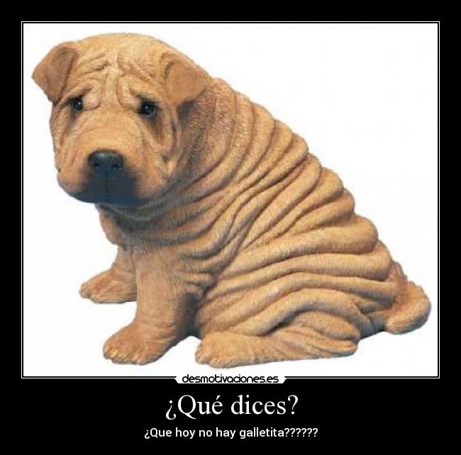 carteles animales desmotivaciones