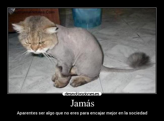 Jamás - 