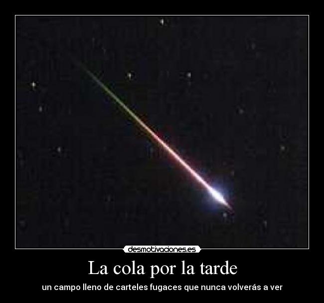 La cola por la tarde - un campo lleno de carteles fugaces que nunca volverás a ver