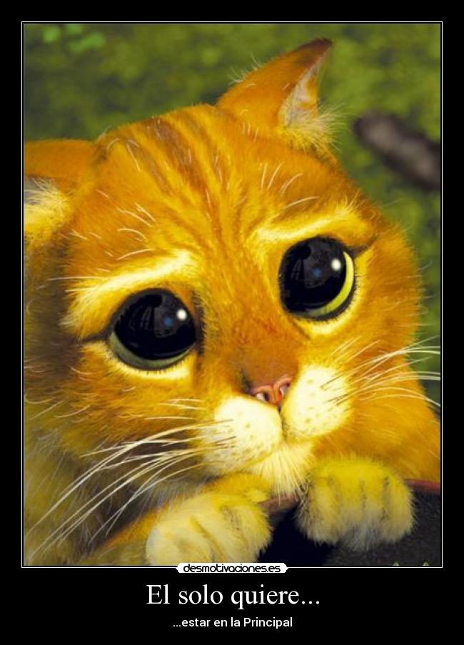 El solo quiere... - ...estar en la Principal