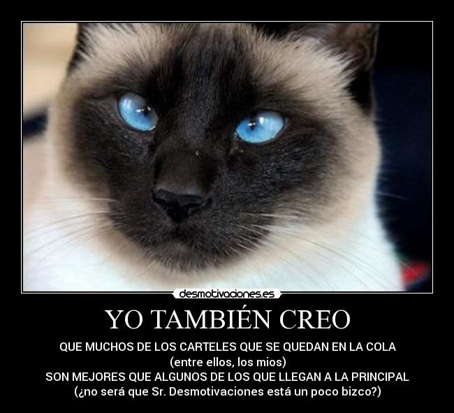 carteles bizco desmotivaciones